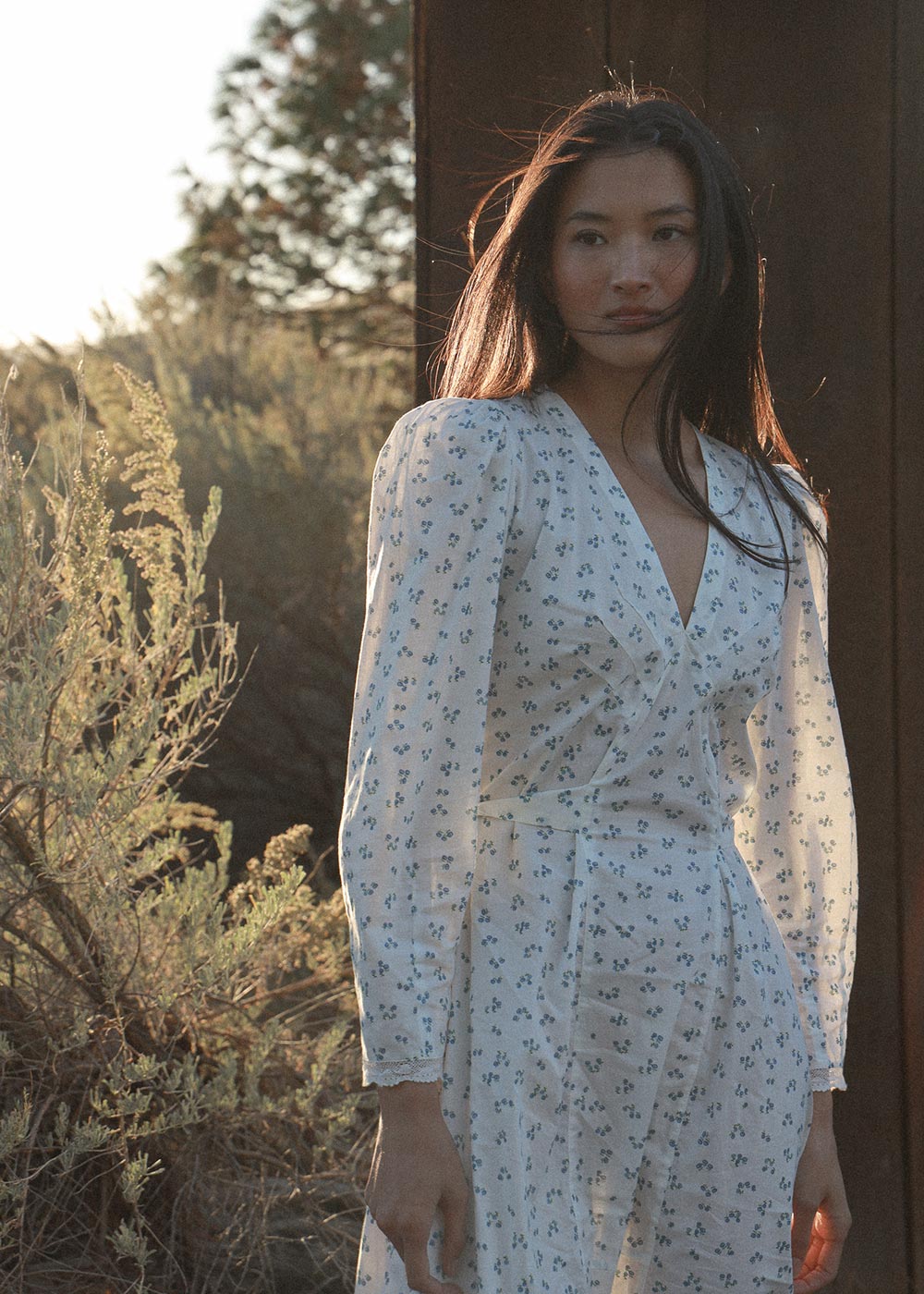 Emmeline Dress